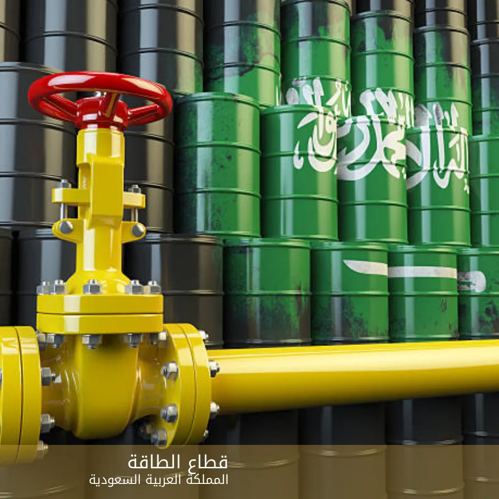 اكبر شركات السعودية